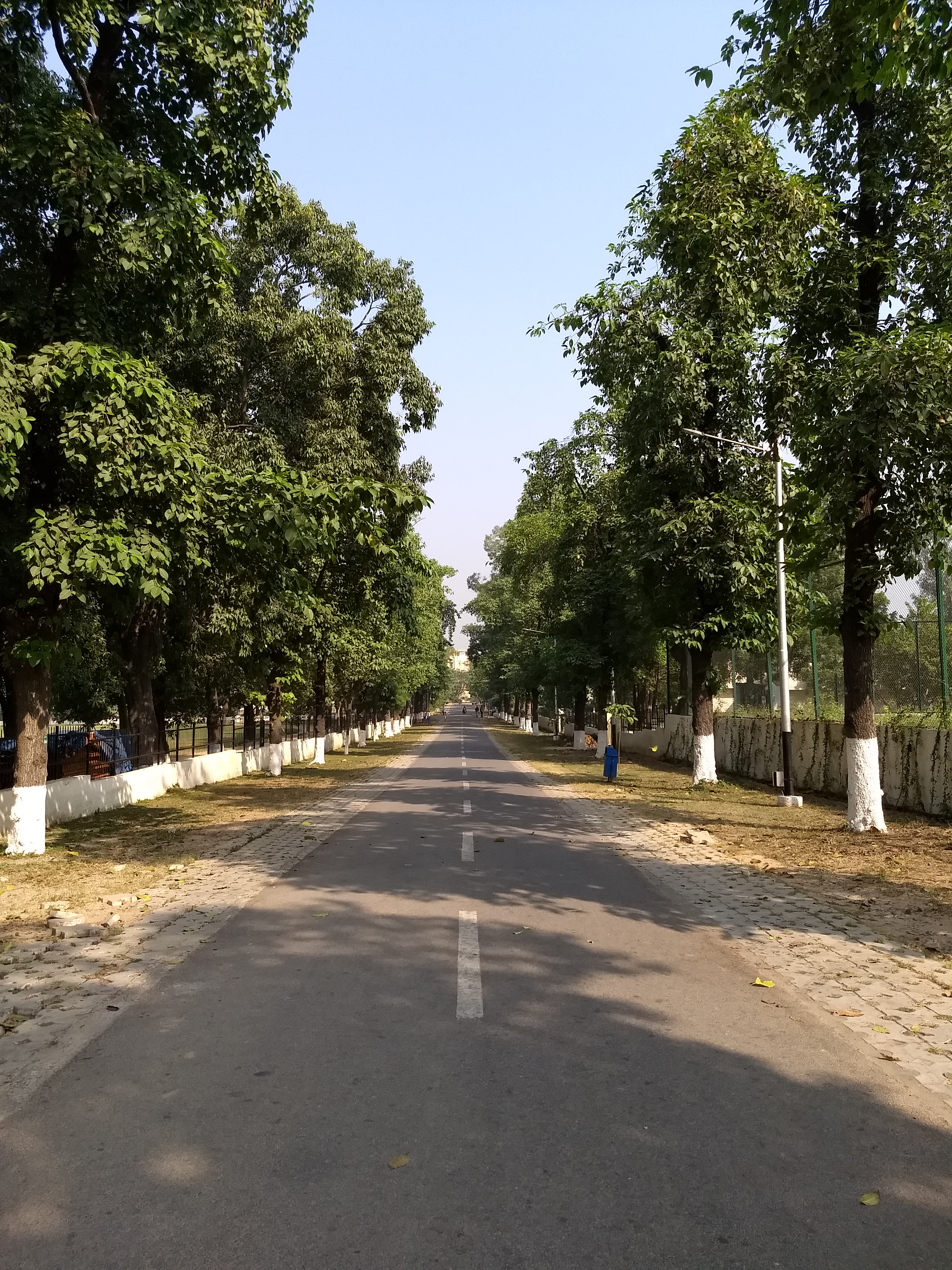 lbs-main building road